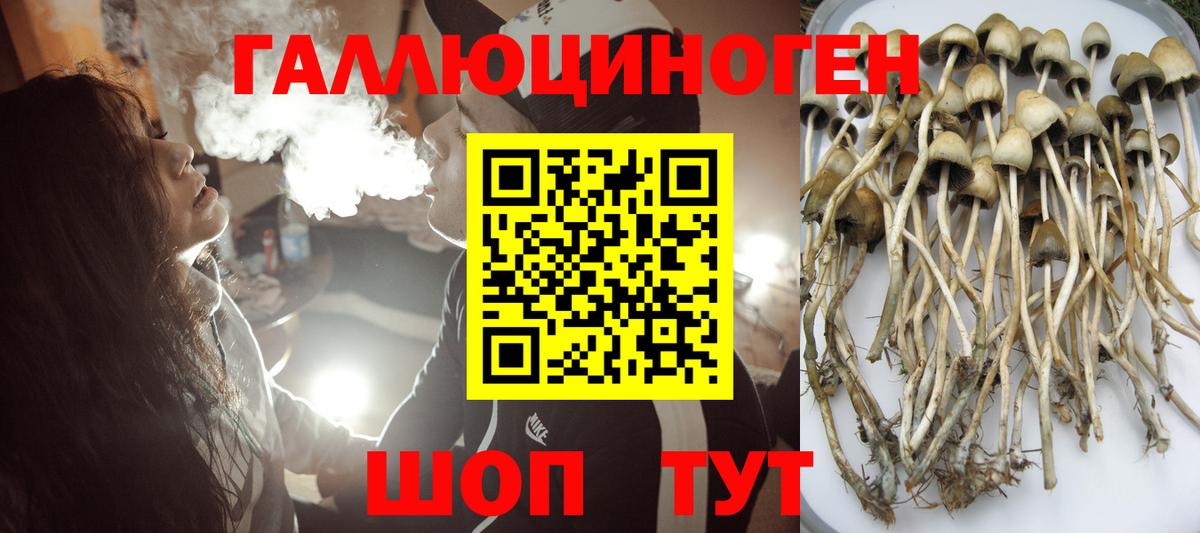 Галлюциногенные грибы MAGIC MUSHROOMS Саяногорск