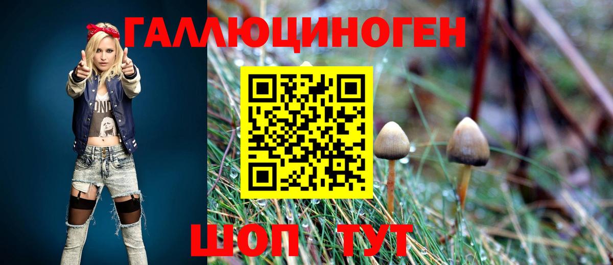 Саяногорск  Галлюциногенные грибы Magic Shrooms  Вход с VPN 